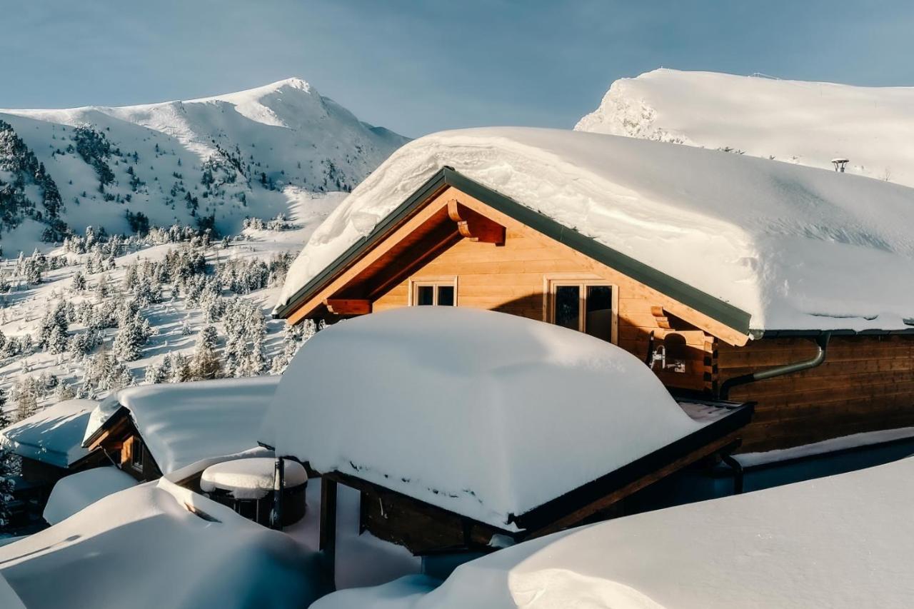 Heidi Chalets Falkert Heidialm - Chalets Bergwinter Patergassen Exterior photo